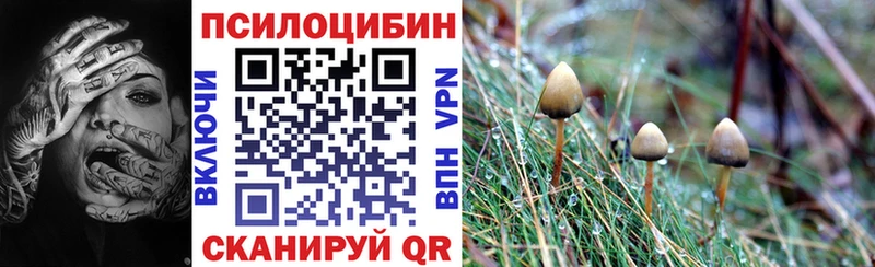 Галлюциногенные грибы мицелий  Купить  Клин 